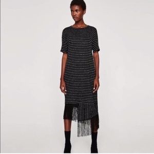 Zara Trafaluc Dress